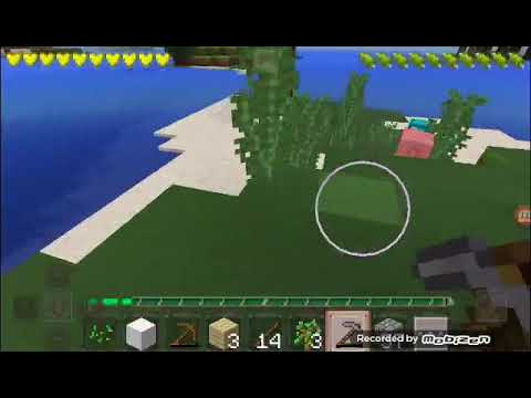 Nuovo server sopravvivenza sono rimasto con mezzo cuore