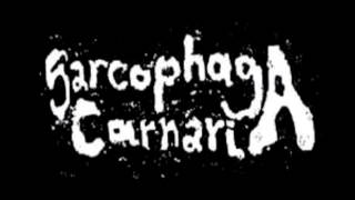 Sarcophaga Carnaria - 7 Untitled Tracks