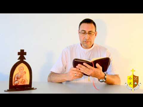 "Gritar com a vida", o Evangelho - SEXTA-FEIRA 14-07-2017