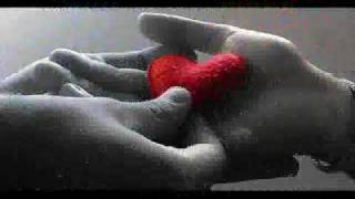 Dreamer- bethany dillon