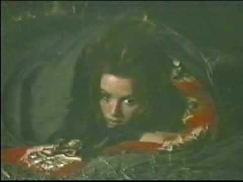 Closing the Gap-My Little Buckaroo