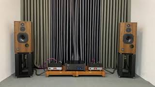 Harbeth super hl5 plus.Missing You-Hans Theessink.