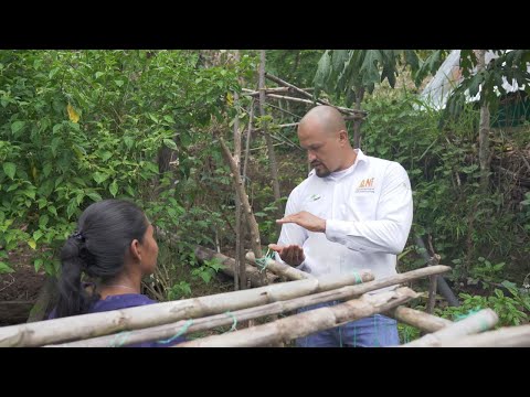 Camino al Suroeste - 16 de agosto de 2024