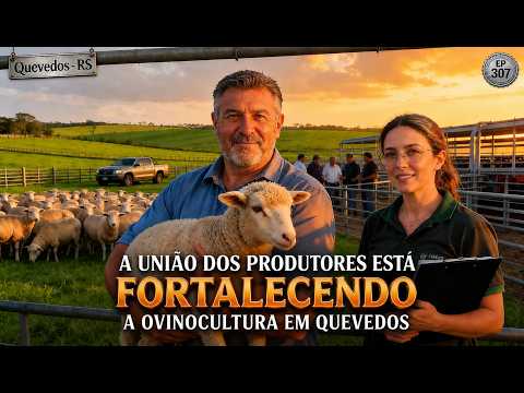 A União dos Produtores Está Fortalecendo a Ovinocultura em Quevedos