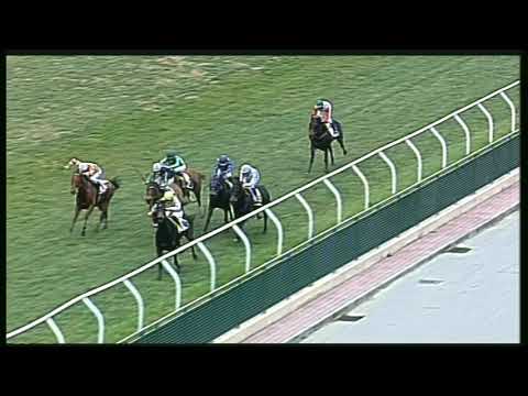 Galoppo 04/02/2020 - 5ª corsa