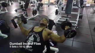 Simple and Effective Chest Workout!