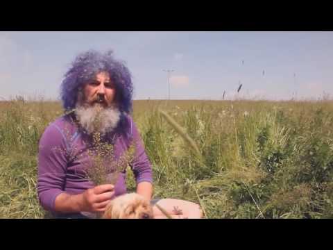 Der Balsam balyninych vom Ekzem Das Shampoo von der Hautentzündung und der Schuppenflechte