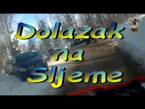 441.DEČKI ŽUTNICE - Macan isprobava gusjenice