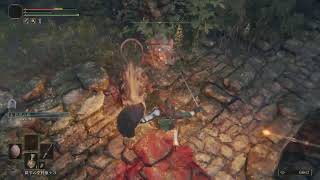 暇潰しエルデンリング垂れ流し3【ELDEN RING(CS)】