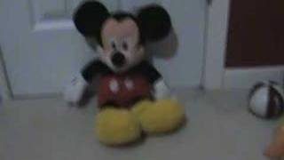 The Adventures of Mickey and Bear