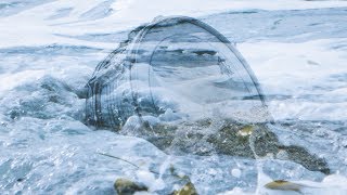 Sleepy Sun - Seaquest (Official Music Video)