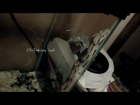 Sibo - B.O.N (Remix) **PREVIEW [VIDEO] Dir. By @RioProdBXC