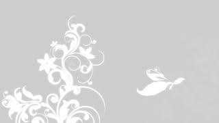 Flourish Animation | Abstract white floral background | Floral background HD | Royalty Free Footages