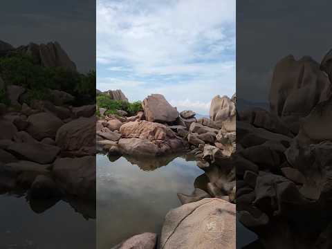 breach vibs#beach #viralvideo #travel