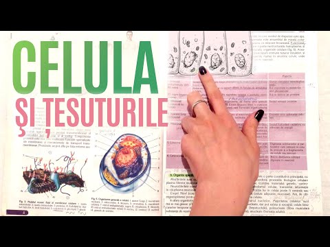 ADMISSION to MEDICINE: Cell and tissues (1) - Cellular EXTENSIONS.