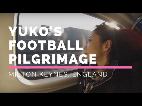 The Concrete Cows in Milton Keynes