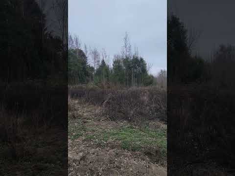 venta de hermoso lote de 300 m2 _ al valor de 5.000 dolares. villa yacanto de calamuchita