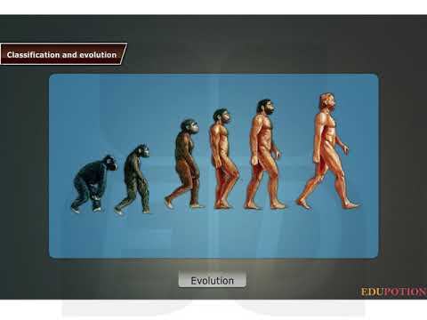 Class 10 Science - Evolution and Classification