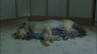 Download lagu David Lynch Commercial PS2 - Rabbits mp3