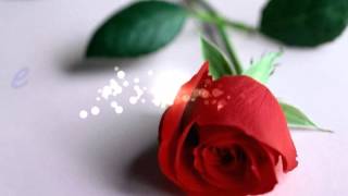 todo tuyo Banda El Recodo De Cruz Lizárraga