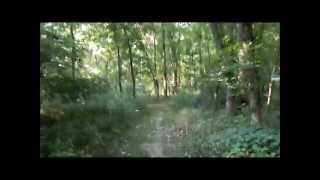 preview picture of video 'Hiking in Meramec Conservation Area'