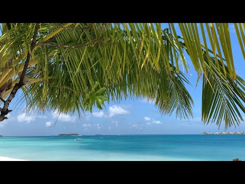Videos del Angsana Velavaru 5★ en Dhaalu Atoll, MaldivasVer MásVerPrecios19CerrarConsulta por Whatsapp 🇦🇷BookingTripadvisorExpediaAgodaTravelocityOrbitzPricelineTripSkyscannerDespegarKayakHotelesDestiniaTrivagoTurismocityAlmundoLastminuteTuiWotif