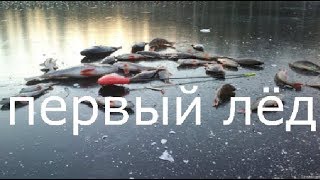 Кивки для ловли плотвы зимой