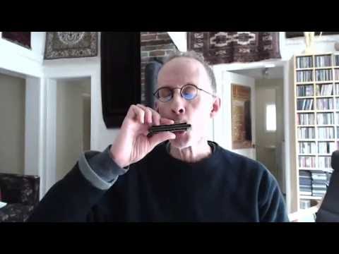 Harmonica choke vibrato technique explained...