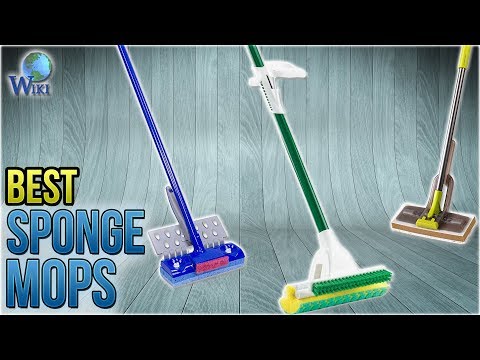 10 Best Sponge Mops