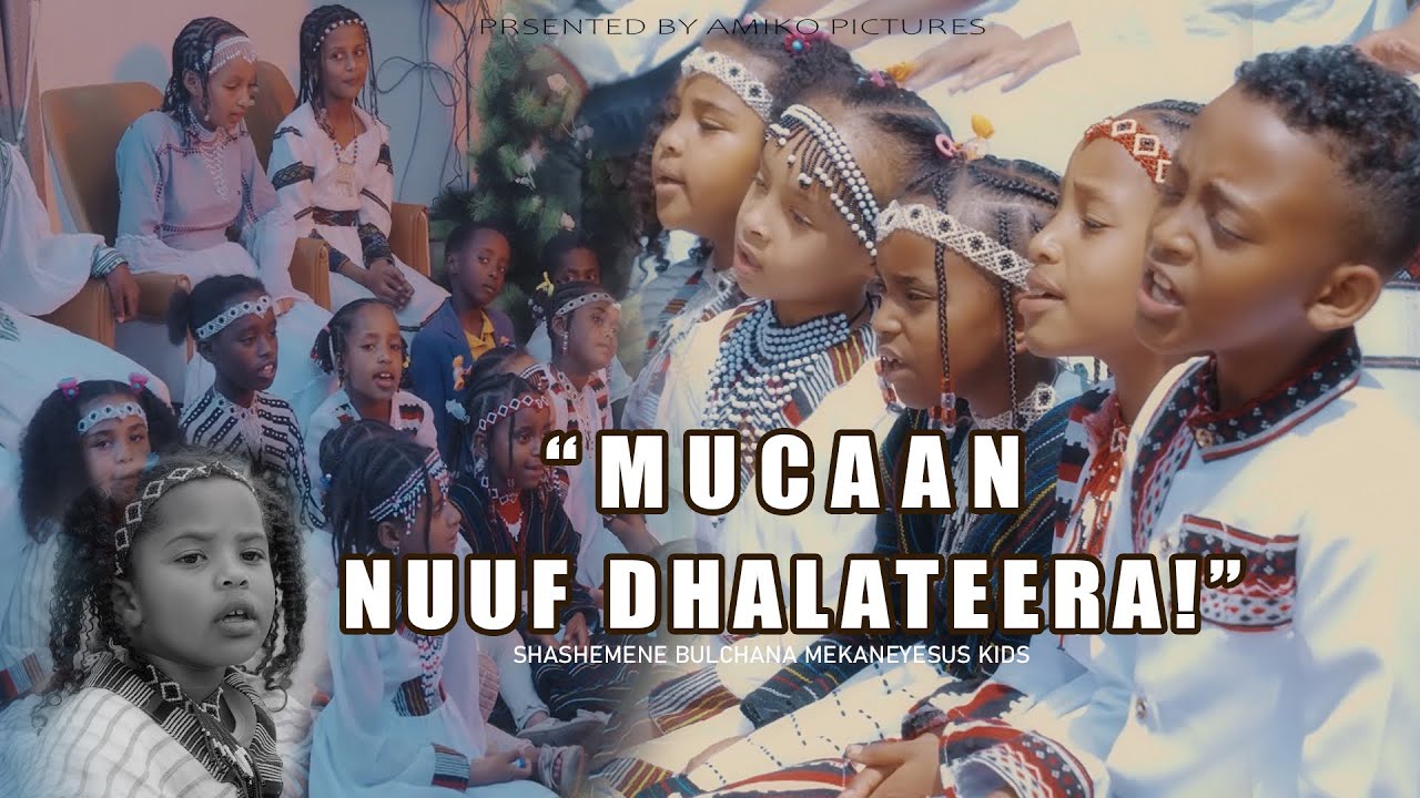 𝐌𝐔𝐂𝐀𝐀𝐍 𝐍𝐔𝐔𝐅 𝐃𝐇𝐀𝐋𝐀𝐓𝐄𝐄𝐑𝐀 || 𝐖𝐊𝐖𝐖𝐌𝐘 𝐒𝐇𝐀𝐒𝐇𝐄𝐌?