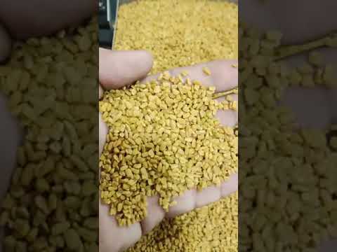 Dry methi - fenugreek seeds
