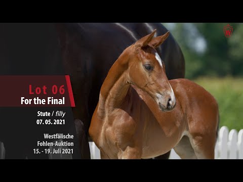 Westfälische Fohlen-Auktion Lot 6 For the Final Stute v. For the Future - Dominator Z