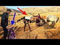 Revenge Scene The Groom S Fight With His Second Wife S Brothers