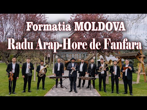 Formatia Moldova si Radu Arap - Hore de Fanfara (Cover)