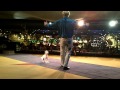 Dog Acts At Circus Circus