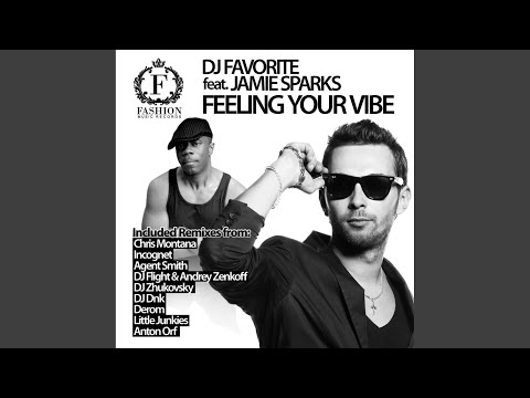 Feeling Your Vibe (Little Junkies Are You Feeling mix)