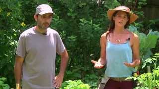 preview picture of video 'Permaculture Paradise:  Val & Eli's Summer Abundance! (Part 2)'