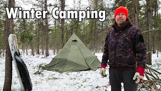 Winter Camping in -5°C / 23F | Siberian Log Fire | Korean Dinner