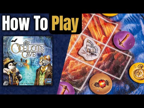 Sir Ocelot's Cave | How to Play | Learn to Play in 6 Minutes!