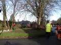 Cutting trees in Lismore-Ireland.