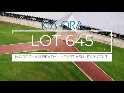 2019 Gold Coast Magic Millions Yearling Sale Lot 645