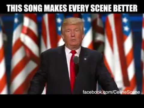 Trump (Celined)