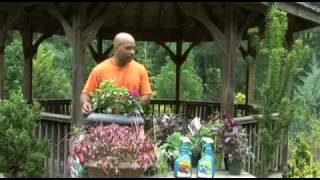 Organic Container Vegetable Gardening for Beginners from William Moss