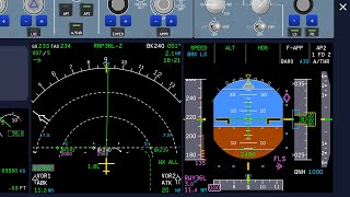 Airbus A321 FLS approach