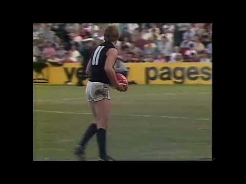 Gary Ablett v WA 1984
