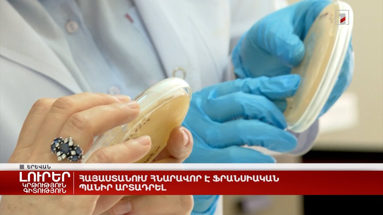 Հայաստանում հնարավոր է ֆրանսիական պանիր արտադրել