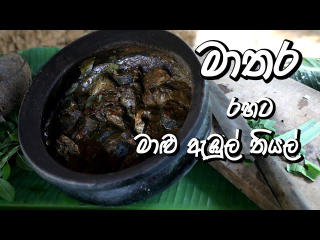 Video Pronunciation of matara in English