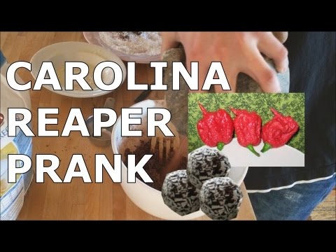 CAROLINA REAPER | PRANK (Worlds Most Hottest Chili)