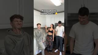 Download lagu She Used To Be Mine - Cover by Anthony Gargiula, @JonathanTilkin & @nataliejane #singing mp3