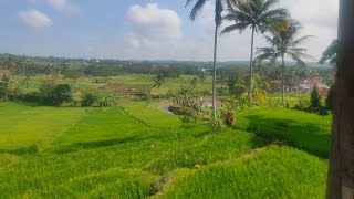 Download lagu KUMPULAN LAGU YOUTUBE MUSIC KEREN TERBARU 2025 mp3 Download lagu KUMPULAN LAGU YOUTUBE MUSIC KEREN TERBARU 2025 mp3